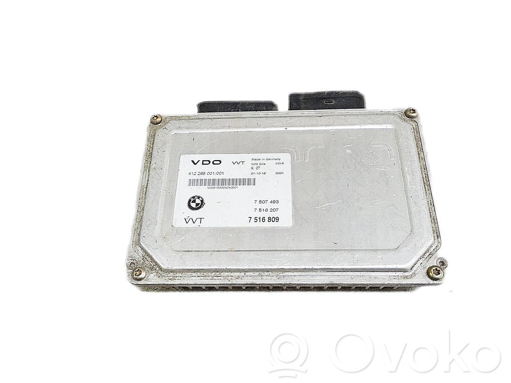 Engine control unit/module   7507493