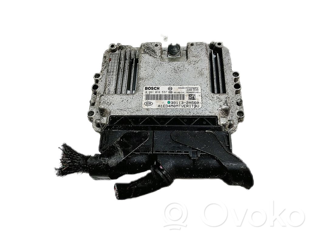Steering angle sensor   391132A560