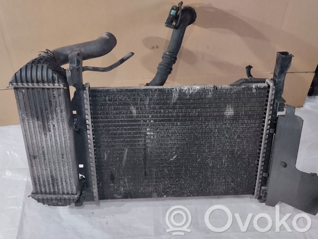 Renault Kangoo II Radiator lichid răcire 