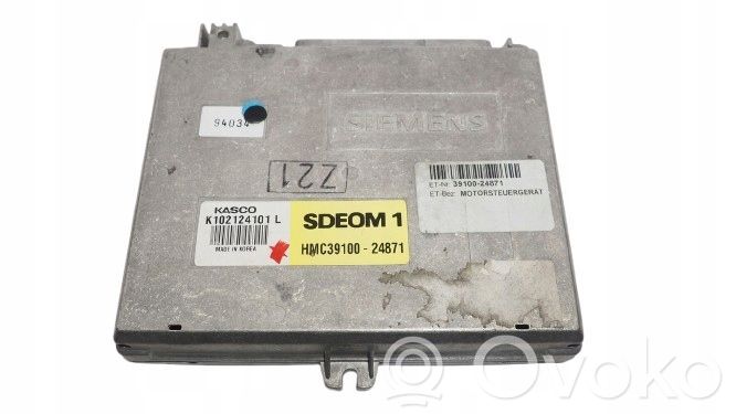 Engine control unit/module   39100,3910024871