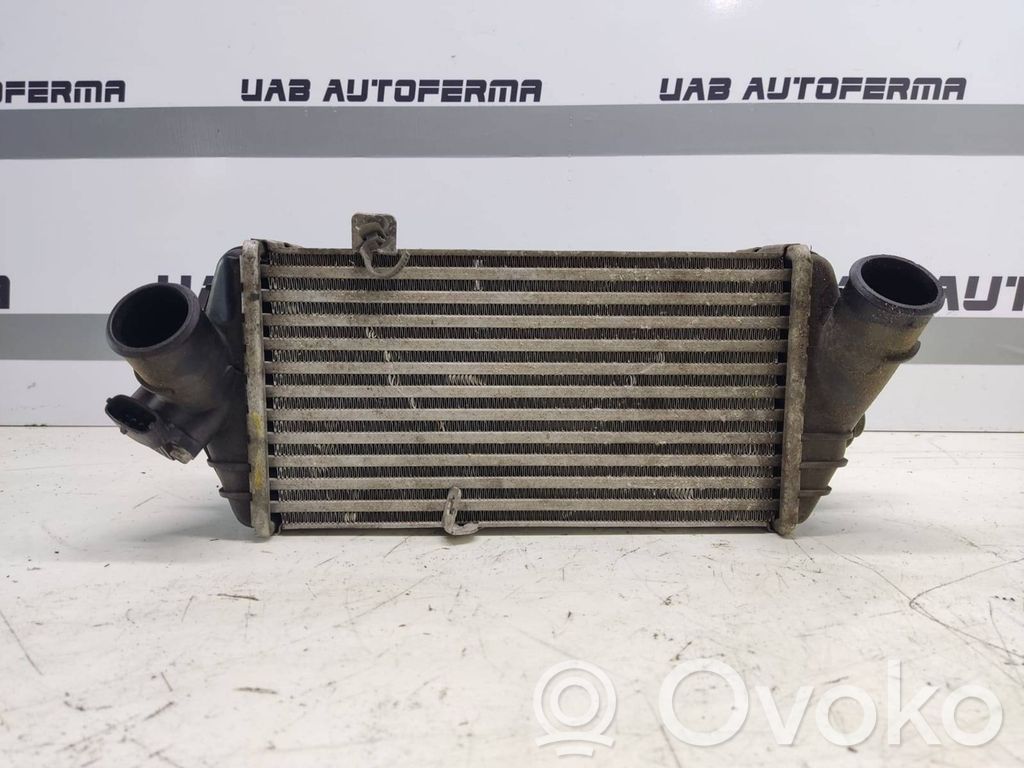 Radiador intercooler   282702A74X