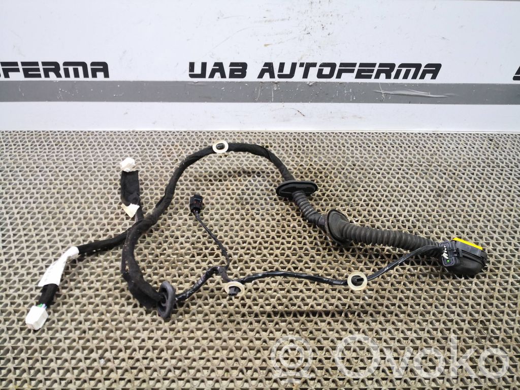 Cableado de puerta delantera   289820002R,241279563R