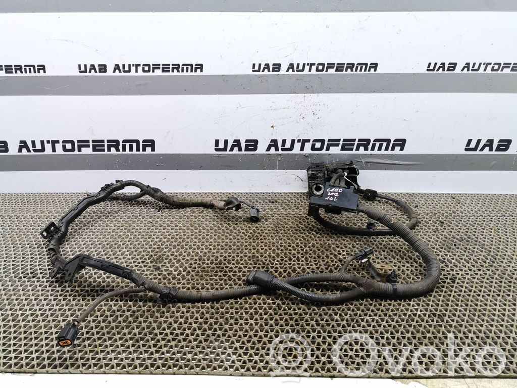 KIA Ceed Pliusinis laidas (akumuliatoriaus) 