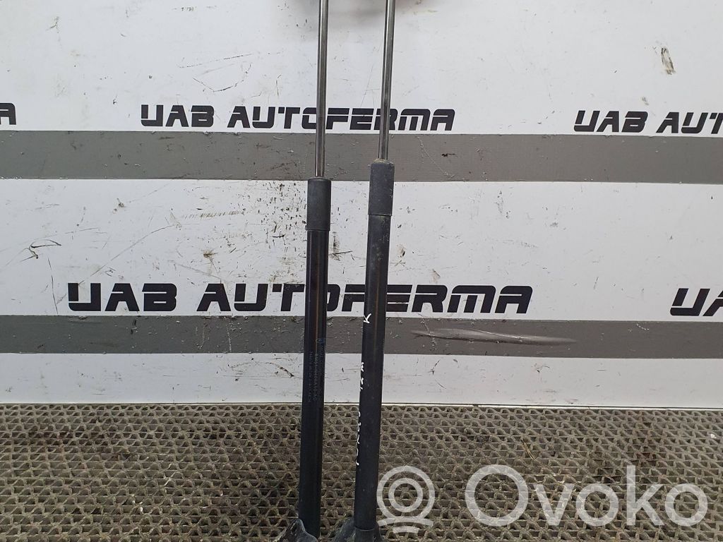 Ford Focus Amortizatorius galinio dangčio 
