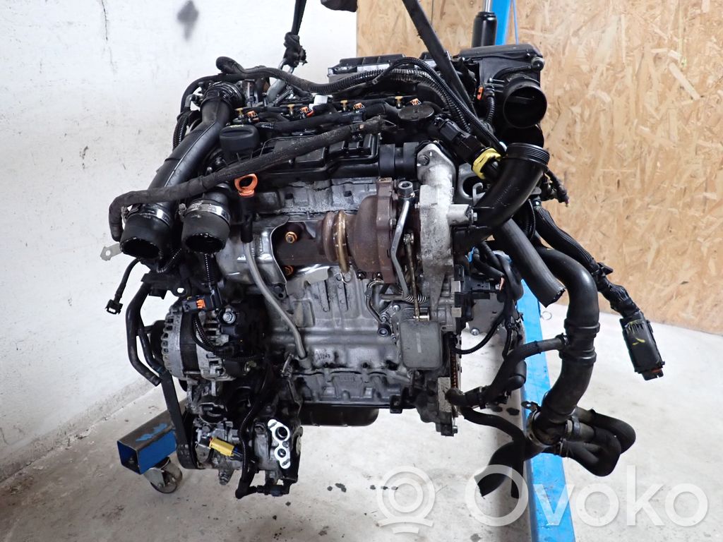 Motor