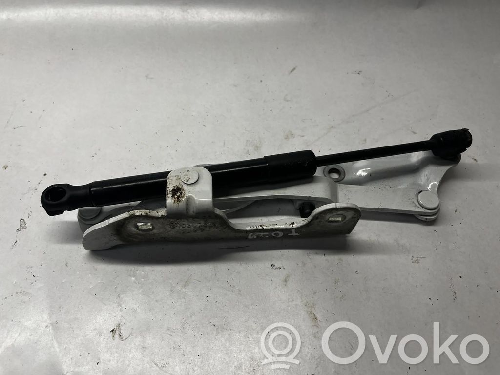 Chevrolet Camaro Aizmugurējā pārsega eņģe (-ess) 
