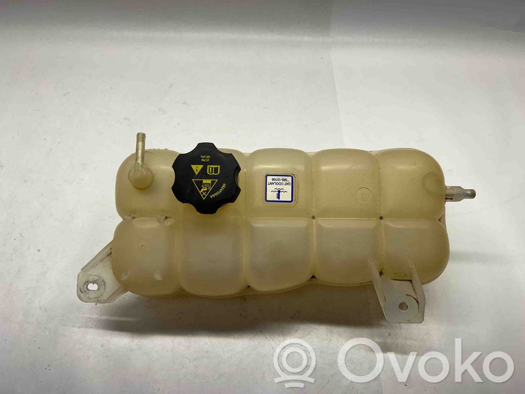 Dodge RAM 1500 DS Aušinimo skysčio išsiplėtimo bakelis 
