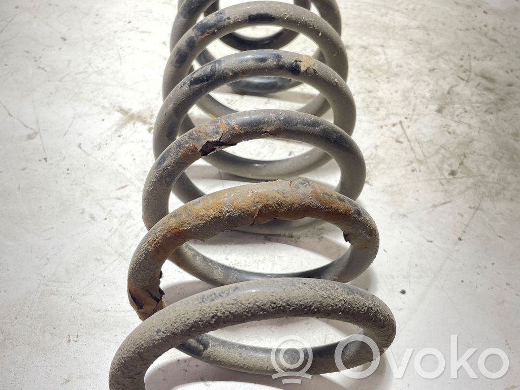 Rear coil spring