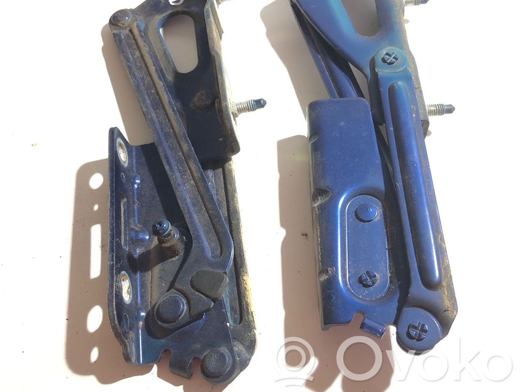 Peugeot 407 Aizmugurējā pārsega eņģe (-ess) 