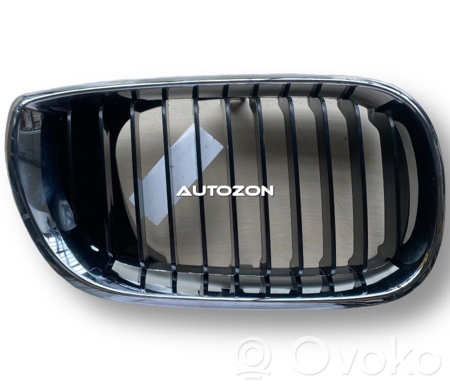Front bumper upper radiator grill   BM0202003