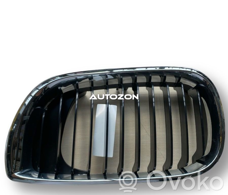 Front bumper upper radiator grill   BM0202004