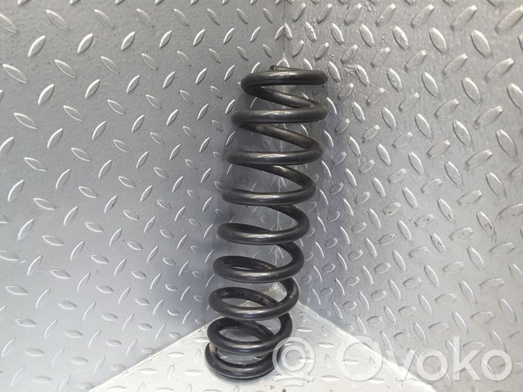 Rear coil spring