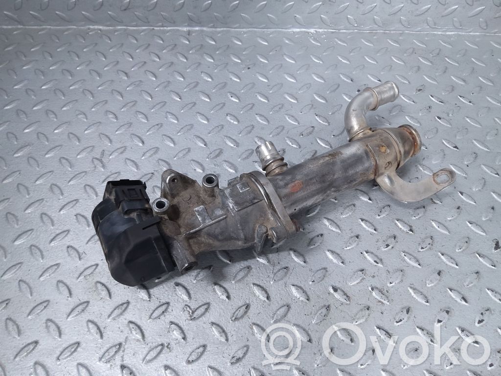 Citroen C5 EGR aušintuvas 