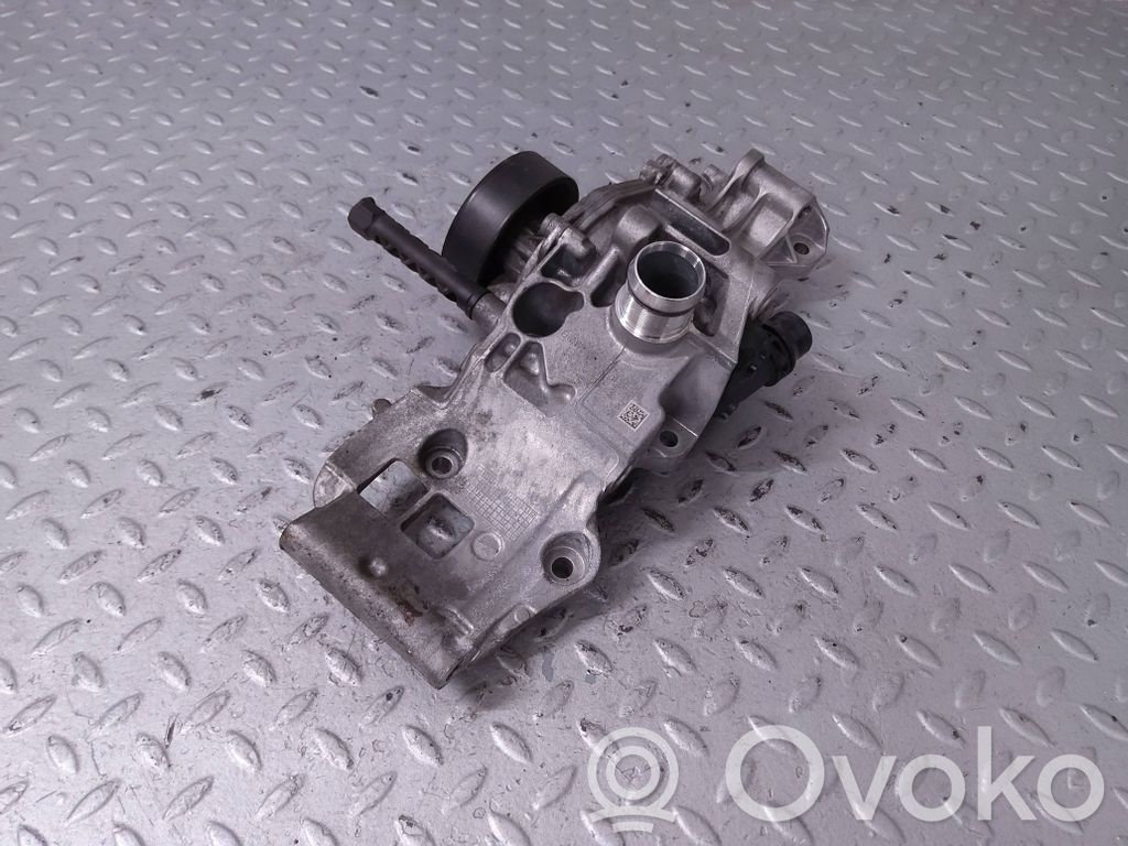 BMW 1 F40 Vandens pompa 