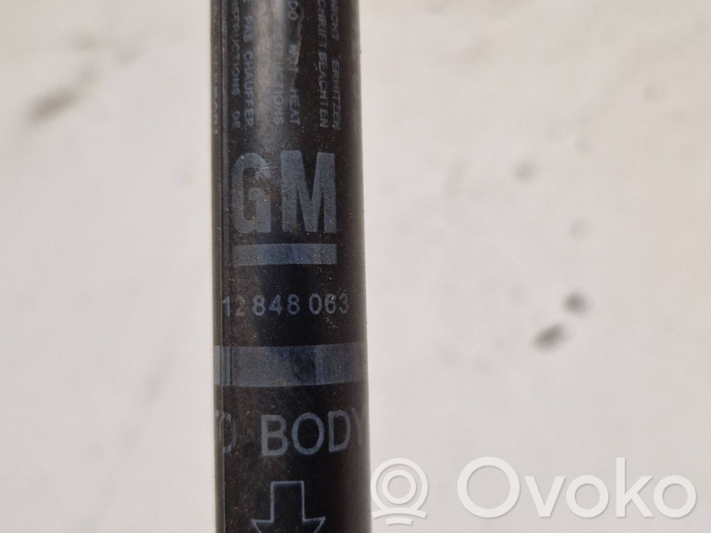 Front bonnet/hood damper/strut   12848063