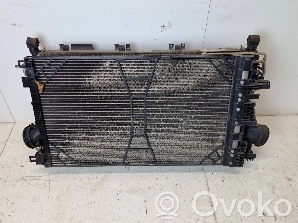 Radiator set   13241729,13241751,13220116