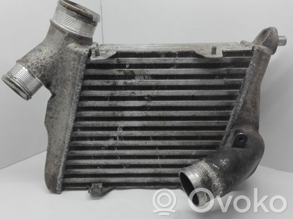 Audi A8 S8 D3 4E Interkūlerio radiatorius 