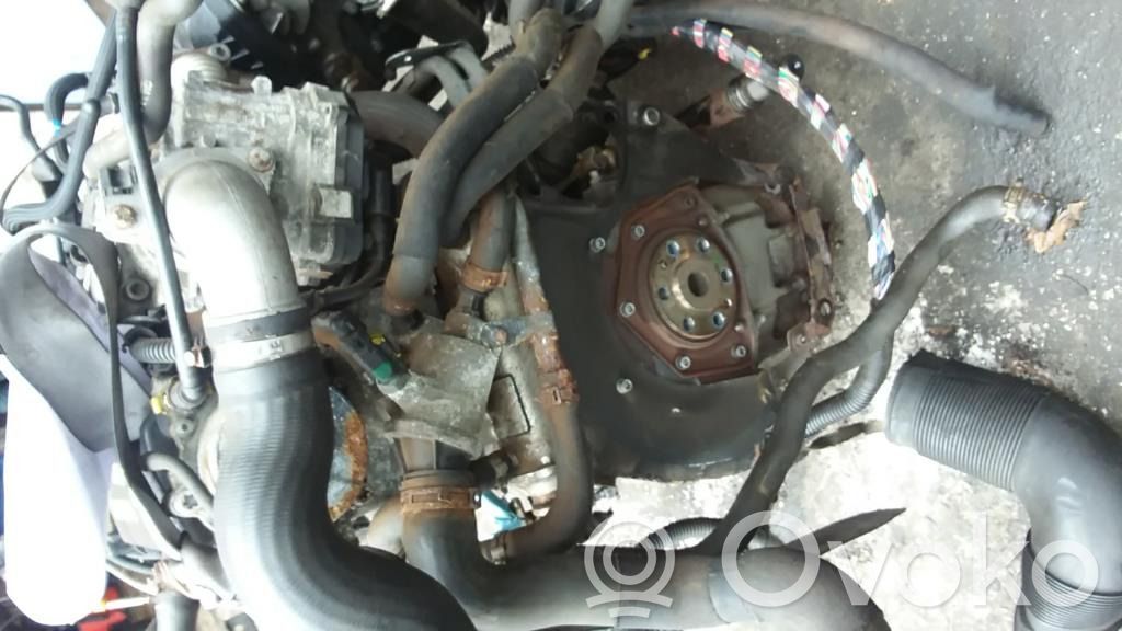 Engine   55207536
