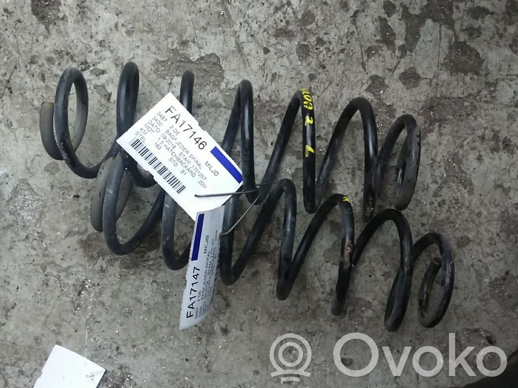 Muelle espiral trasero