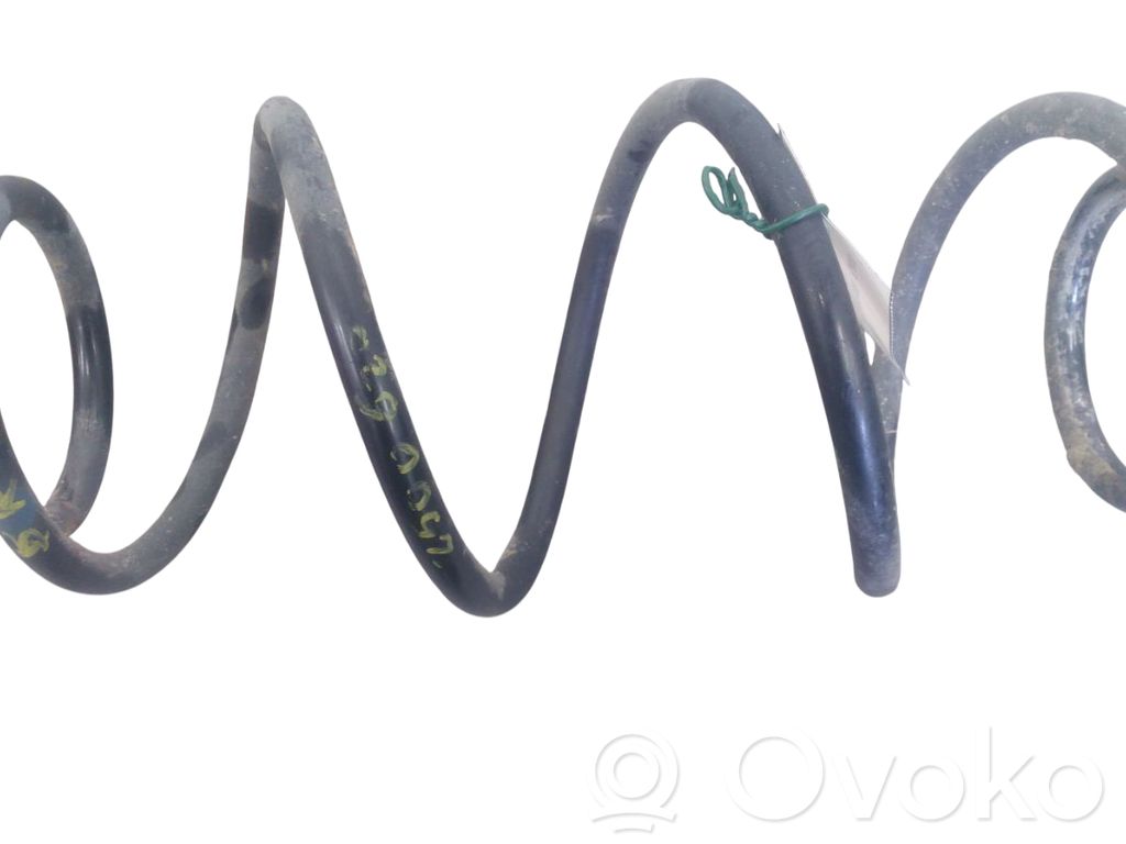 Renault Kangoo III Arc elicoidal spate 