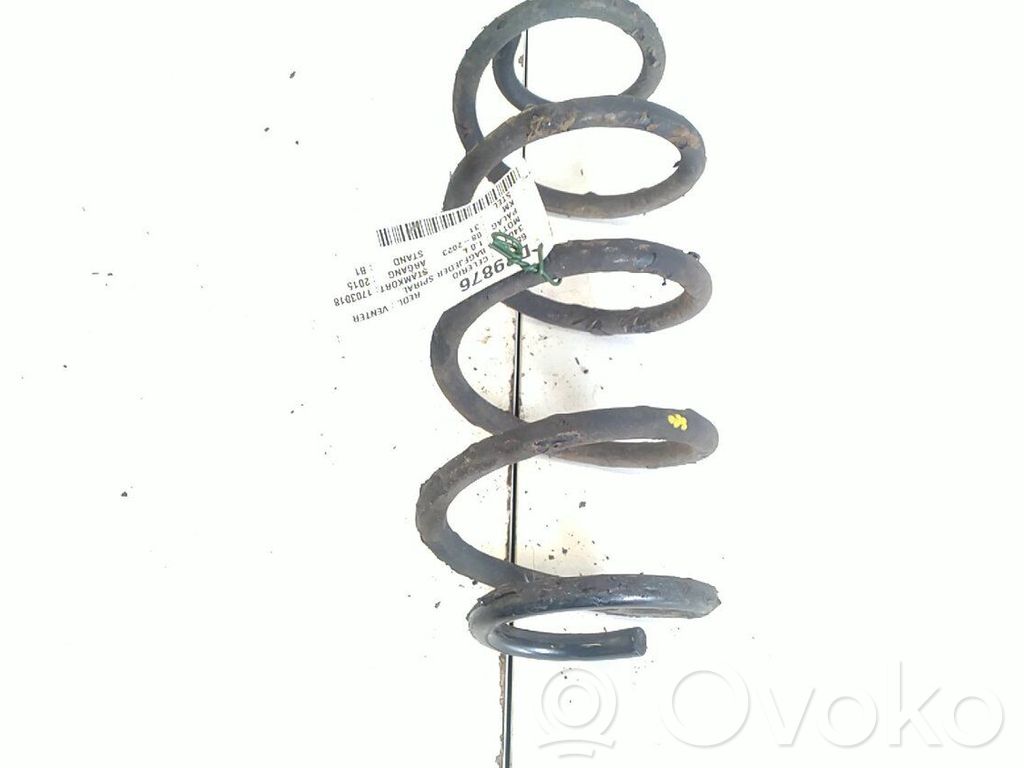 Muelle espiral trasero   5410084M005PK