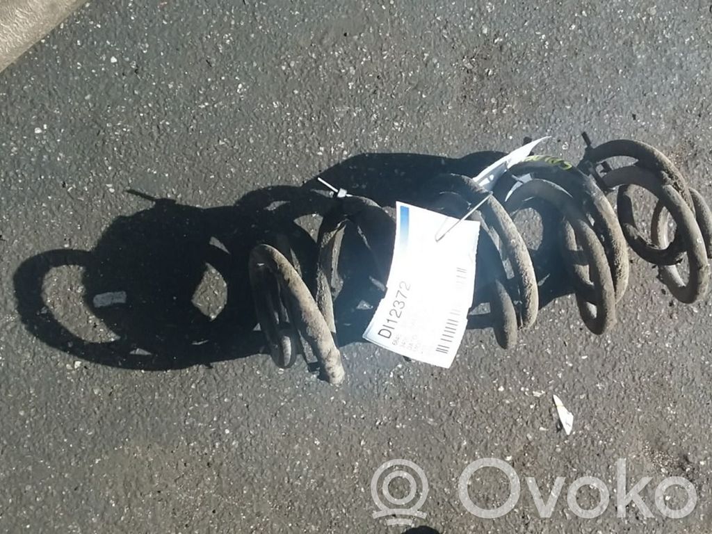 Rear coil spring