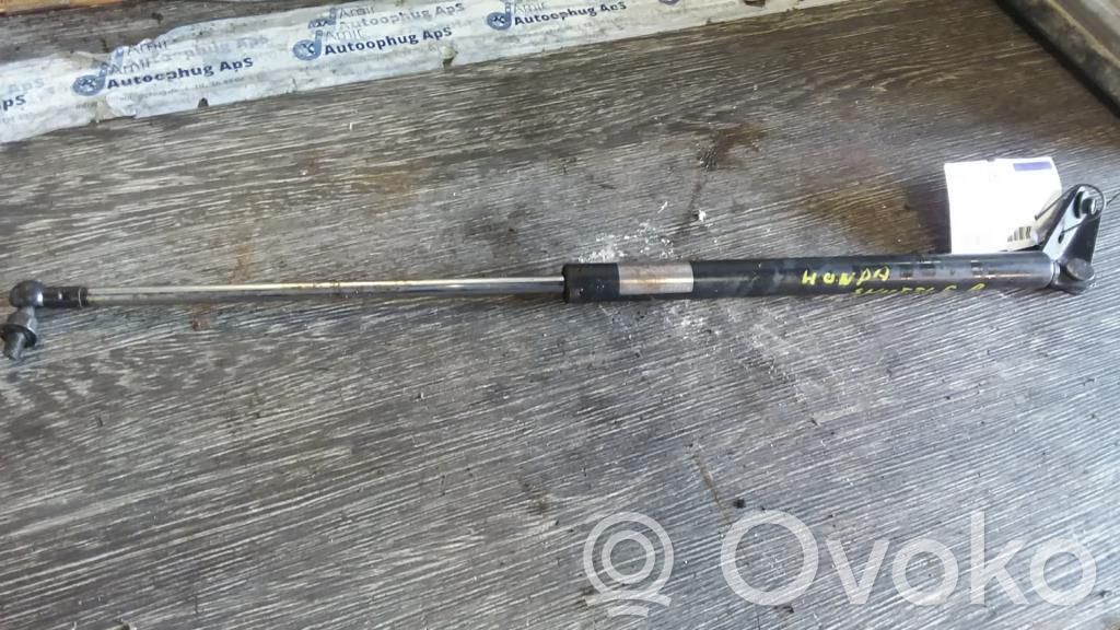 Tailgate/trunk strut/damper