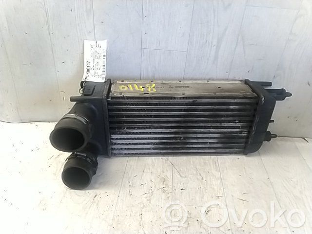 Intercooler radiator   0384P5