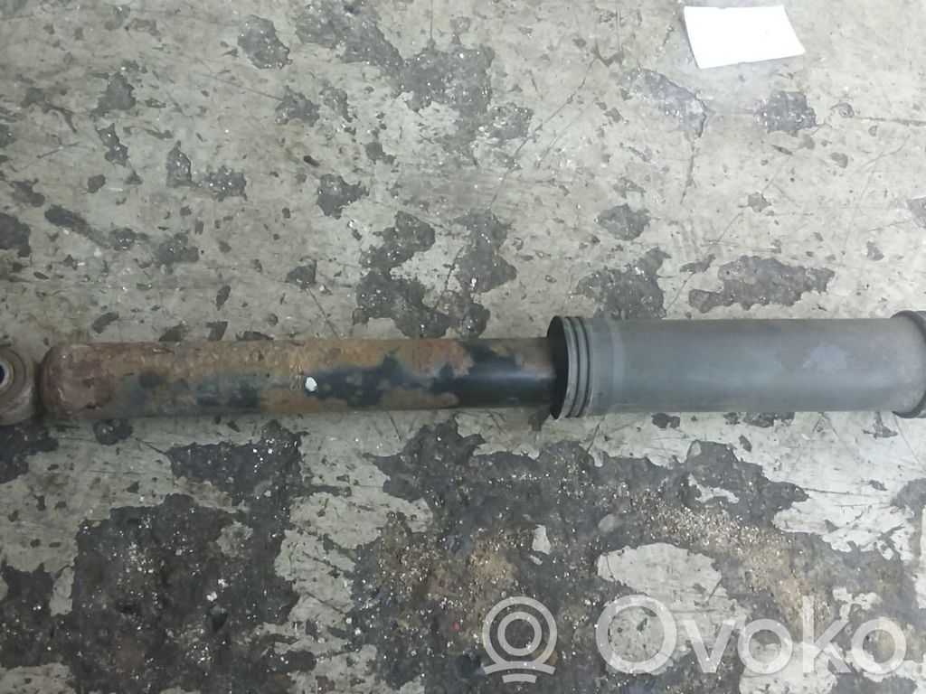 Stoßdämpfer hinten