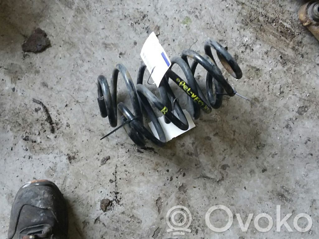 Muelle espiral trasero