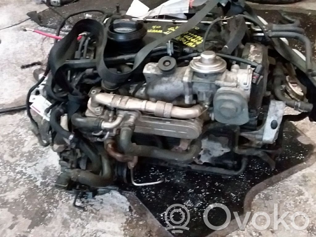 Motor