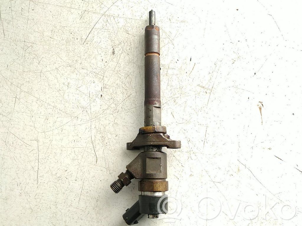 Fuel injector   Y60513H50B