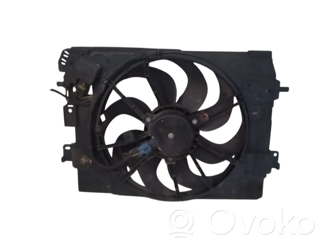 Elektrolüfter   214818009R
