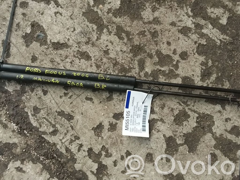Tailgate/trunk strut/damper