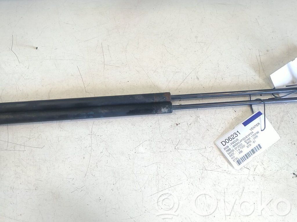 Tailgate/trunk strut/damper   1349309