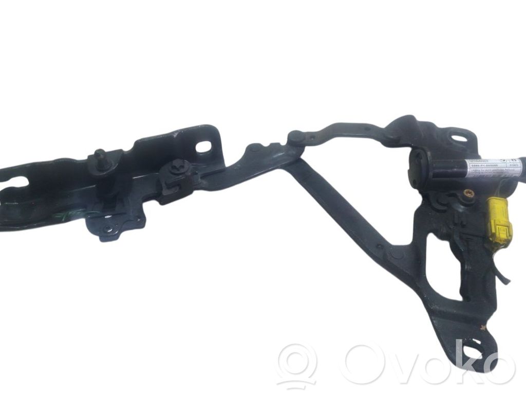 BMW 5 F10 F11 Cerniere del vano motore/cofano 