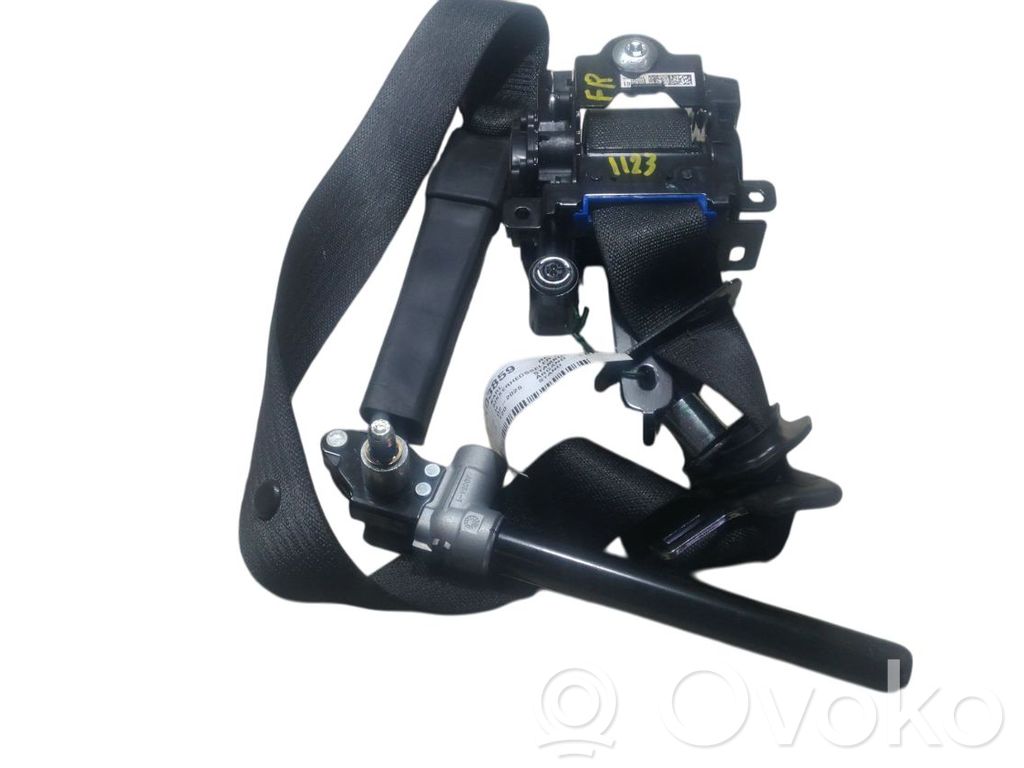 Cinturón delantero   42554986