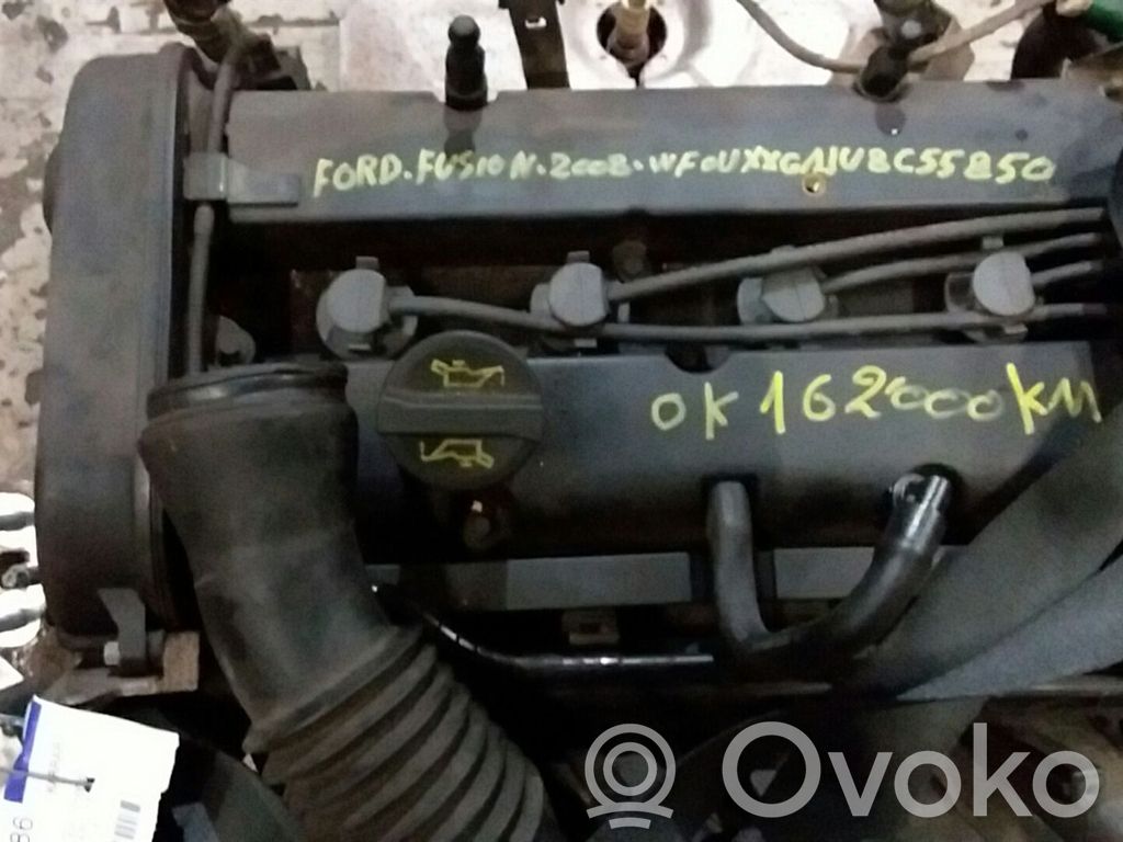 Motor