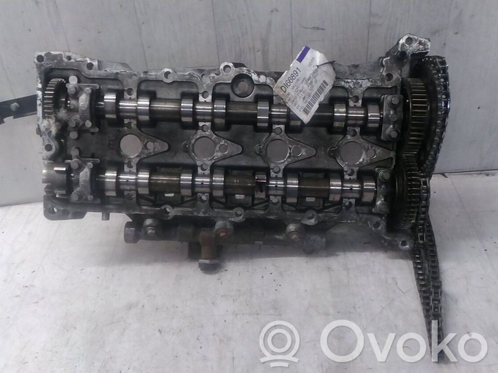 Engine head   110417248R