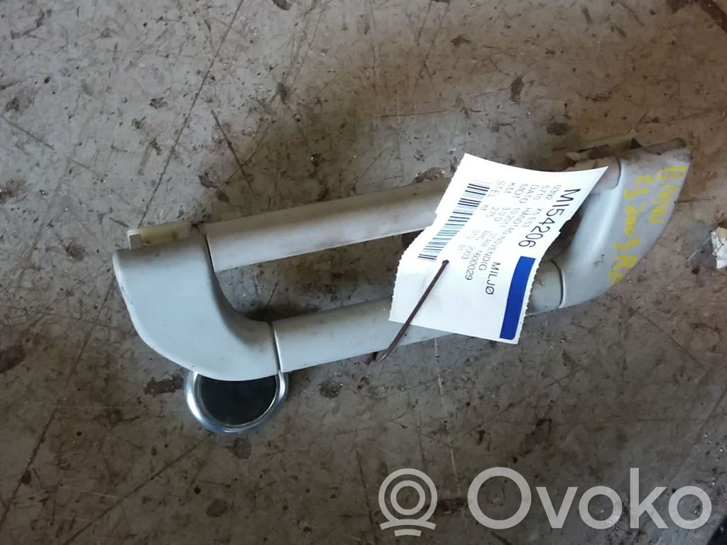 BMW X5 E53 Manecilla interna puerta delantera 
