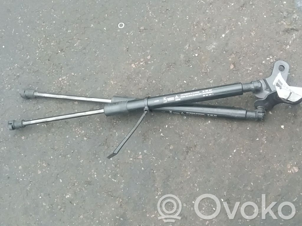 Amortiguador/puntal del maletero/compartimento de carga
