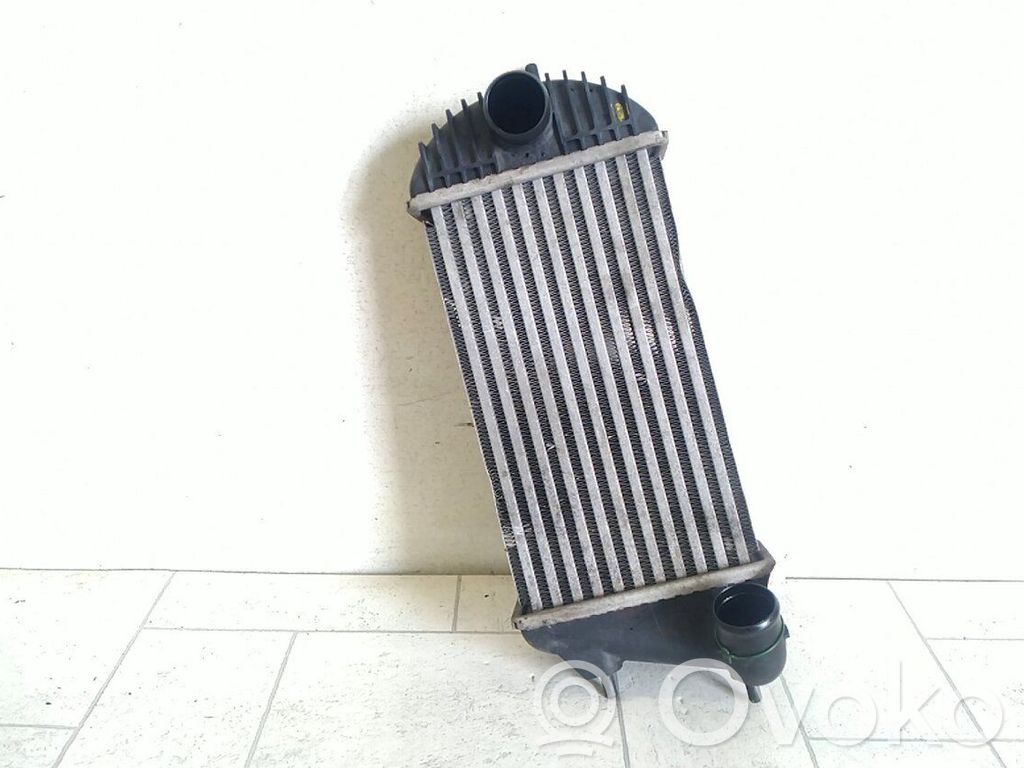 Radiador intercooler   1362068L51000