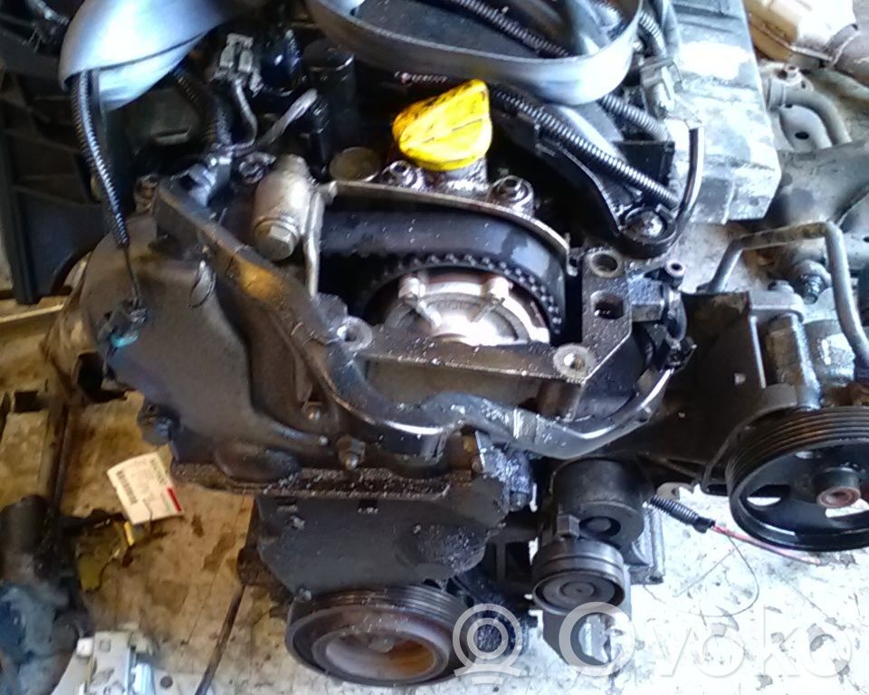 Motor