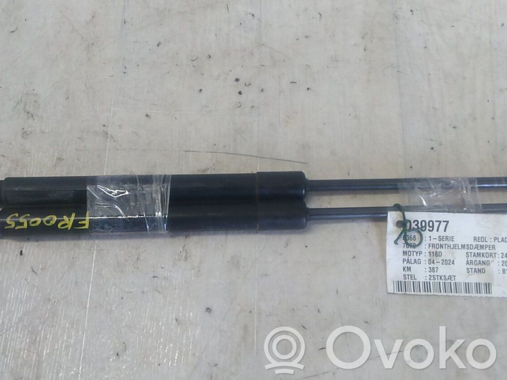 BMW 1 E81 E87 Ammortizzatore portellone anteriore/cofano
