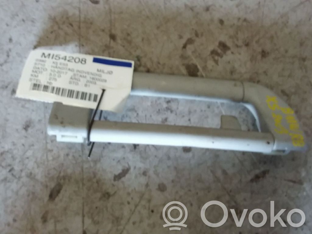 BMW X5 E53 Manecilla interna puerta delantera 