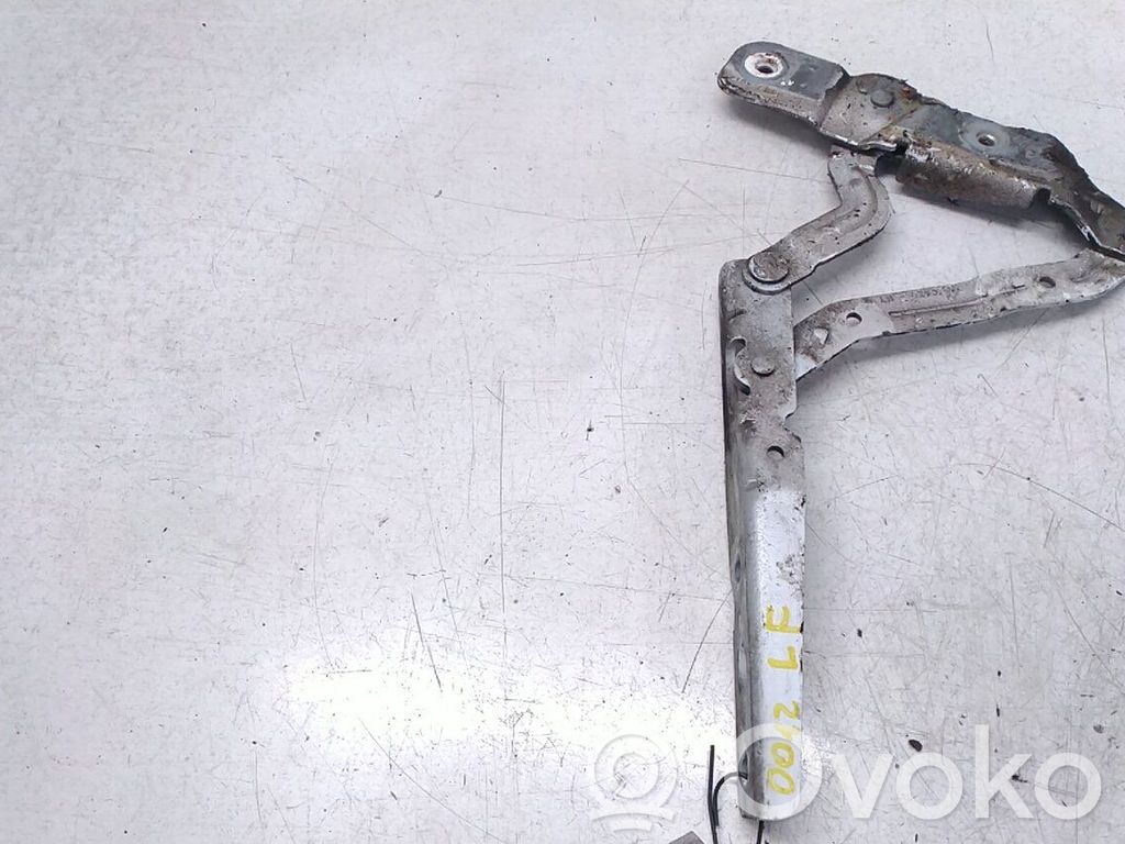 Ford C-MAX II Engine bonnet/hood hinges 