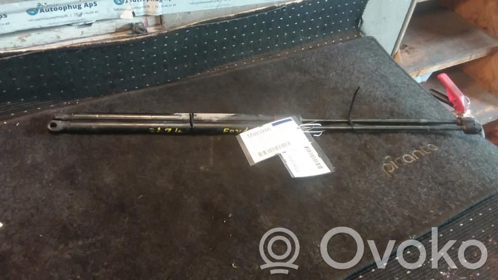 Tailgate/trunk strut/damper   1803164