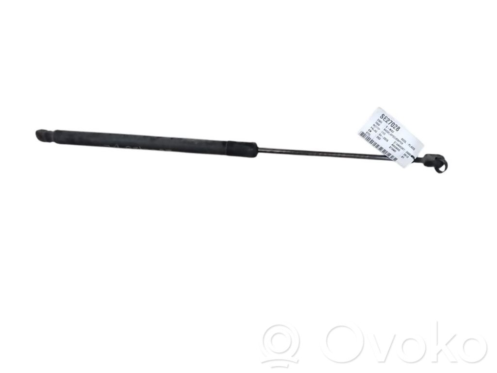 Tailgate/trunk strut/damper   1683642