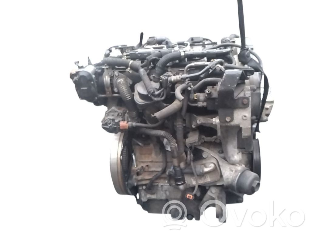 Motor   55573555
