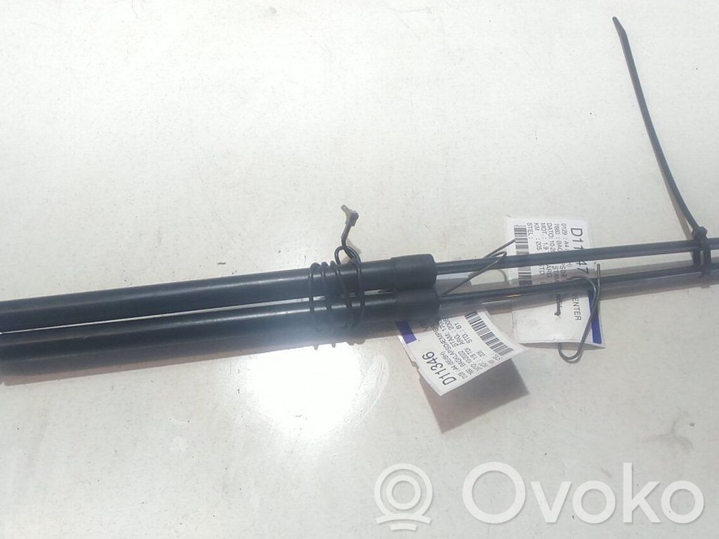 Audi A4 S4 B7 8E 8H Ammortizzatore portellone posteriore/bagagliaio 